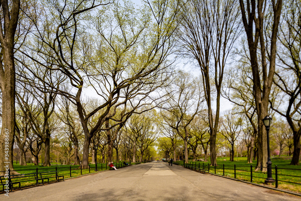 Central Park, Manhattan, New York City in spring