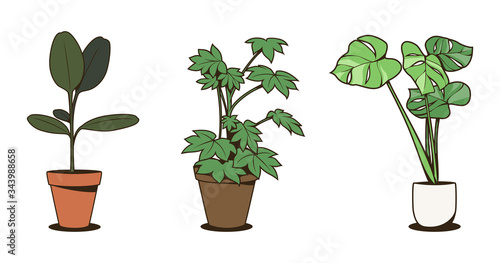 Ornamental plant with pot clipart set isolated on white background. Cartoon icon style. Vector illustration. Perfect for sticker, pattern, infographics, social media, etc.