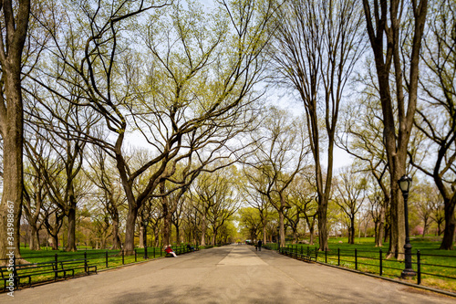 Obraz na płótnie Central Park, Manhattan, New York City in spring w salonie