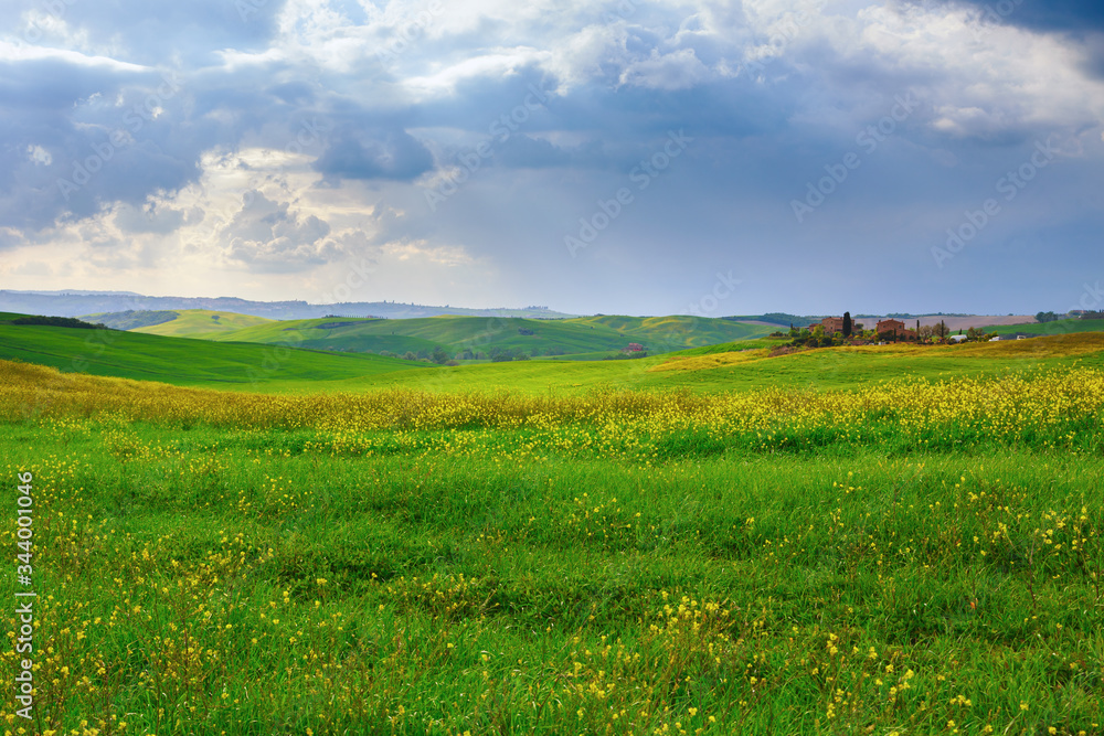 Tuscany green landscape