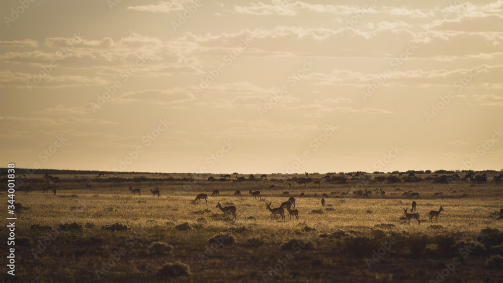 Sunset in Africa Sunset in Africa