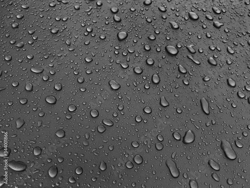 Wallpaper Mural Drops of water on a black metal surface, beautiful background after rain Torontodigital.ca