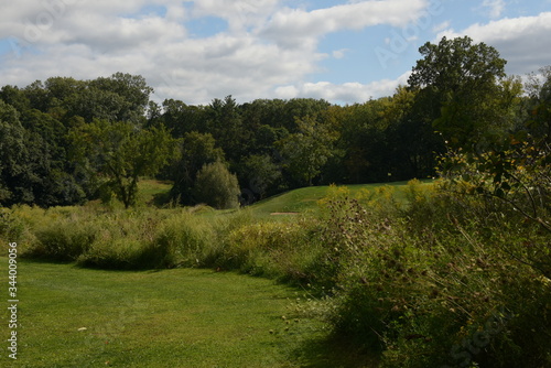 scenic view of green grass and trees lining a forest on a sunny summer day