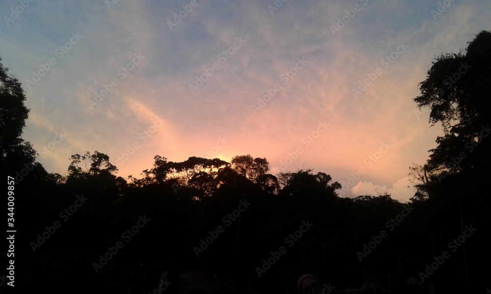 sunset in the jungle