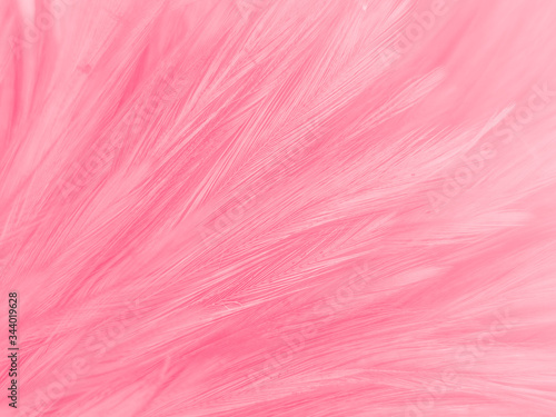 Beautiful abstract white and pink feathers on white background and soft white feather texture on pink  pattern and pink background  feather background  pink banners