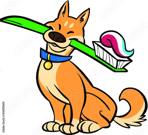 dog with toothbrush and toothpaste color vector
