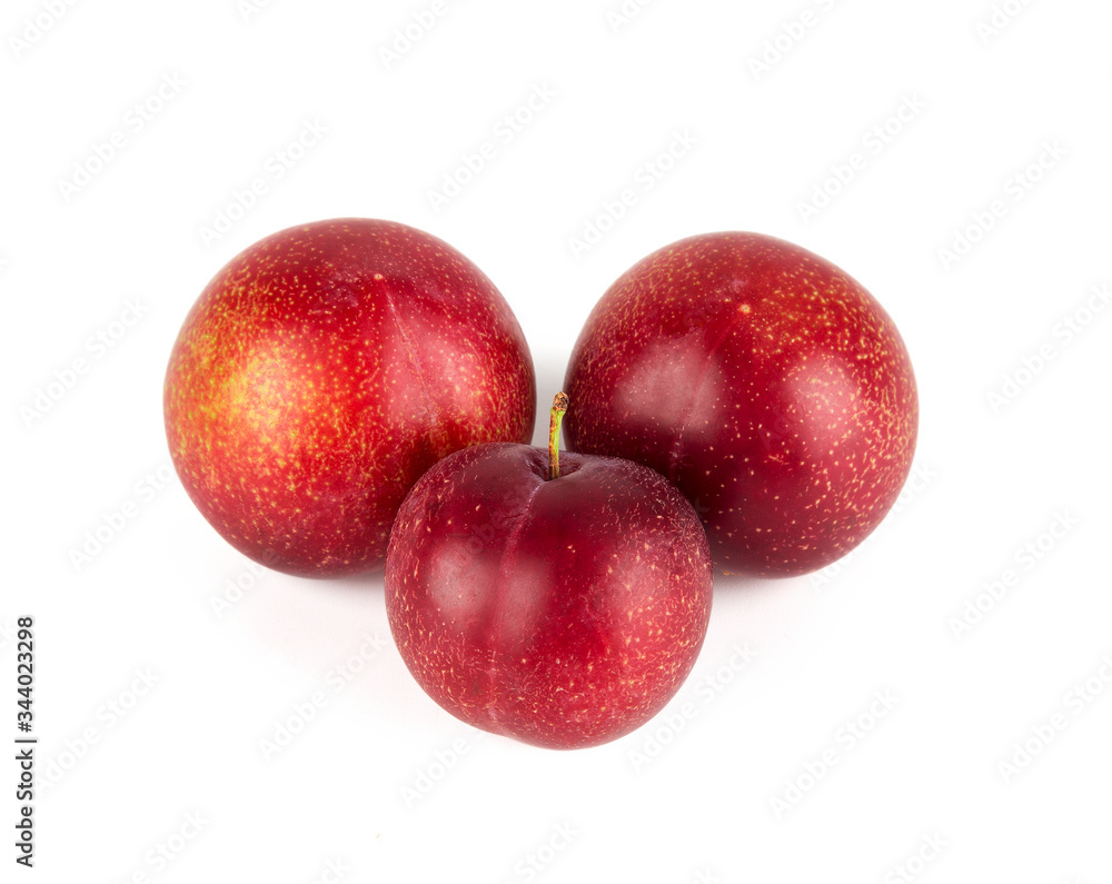 Fresh America cherry plum isolated on white background.