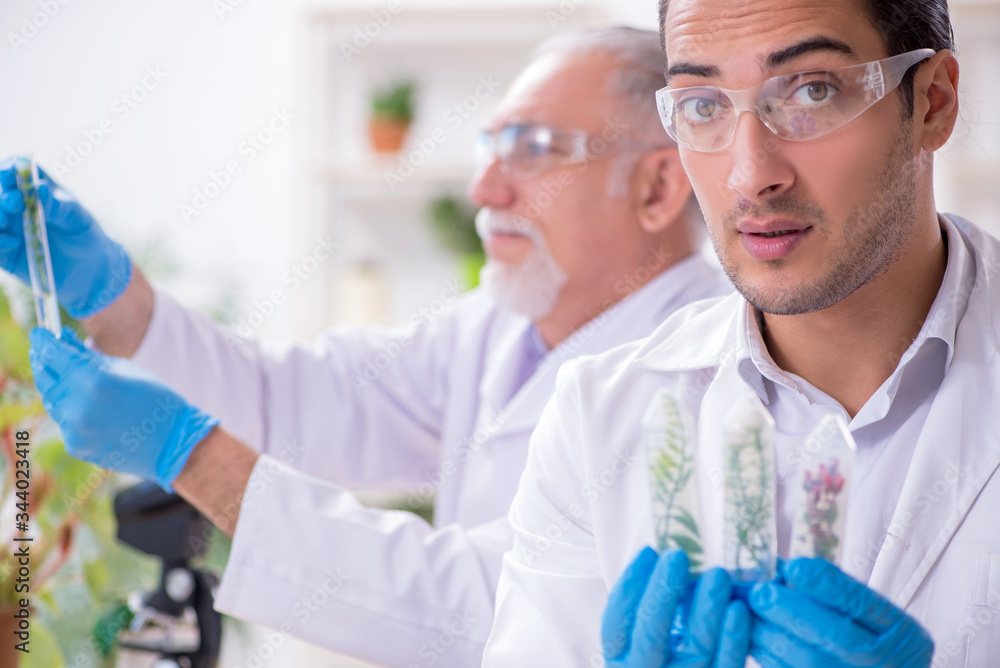 Two chemists working in the lab Two chemists working in the lab