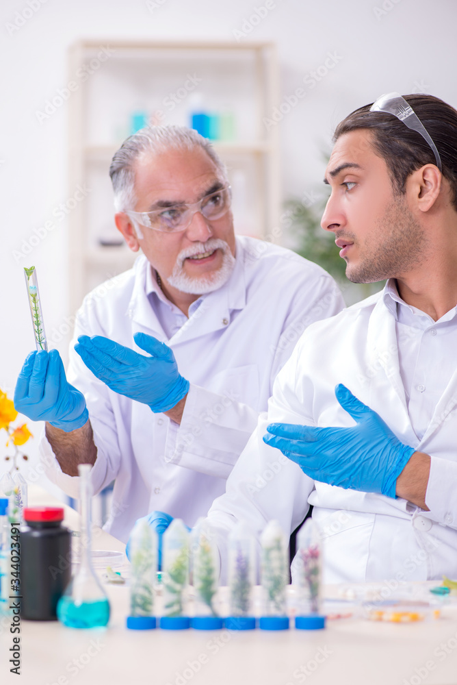 Two chemists working in the lab Two chemists working in the lab