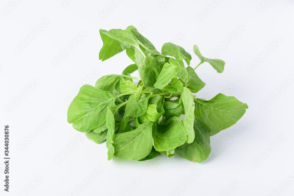 Green Thai spinach leaf or edible amaranth (Asian plant) on white background, Organic vegetable Green Thai spinach leaf or edible amaranth (Asian plant) on white background, Organic vegetable