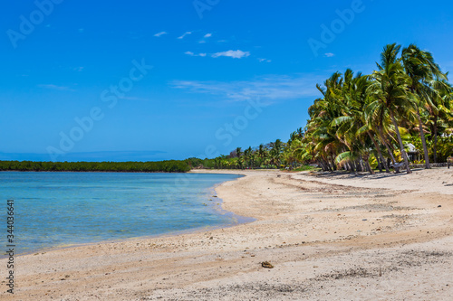 Sandy Nalamu Beach backed by palm trees, under a blue sky, Fiji.