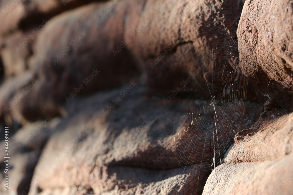 Spiderweb on Rocks