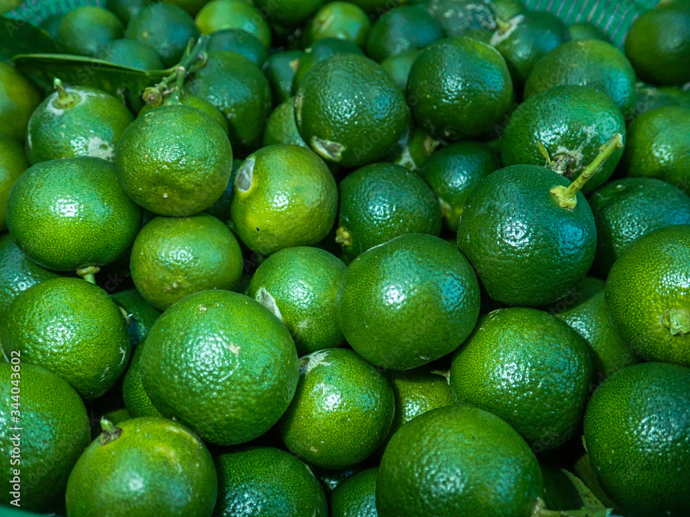 A piles of calamansi that freshly harvest from farm in Malaysia A piles of calamansi that freshly harvest from farm in Malaysia
