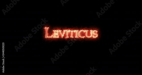 Leviticus written with fire. Loop photo