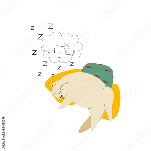 Cartoon fat short haired cat sleeps sweetly on colored pillows. A cute pet is napping and dreaming. Vector illustration isolated on a white background.