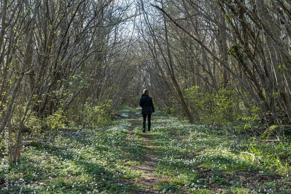 Beautiful path with a walking woman Beautiful path with a walking woman
