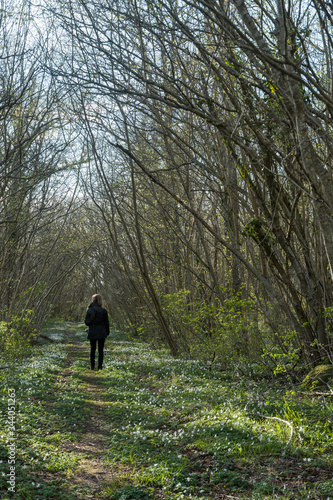 Woman on a footpath with spring flowers