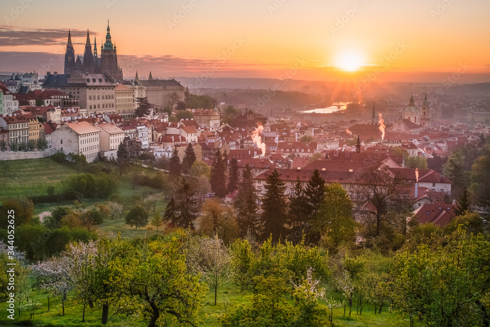 Prague Castle, St. Vitus cathedral and the UNESCO heritage site of the old city center with red rooftops captured behind blooming apple orchard from Strahov monastery during sunrise, Czech Republic