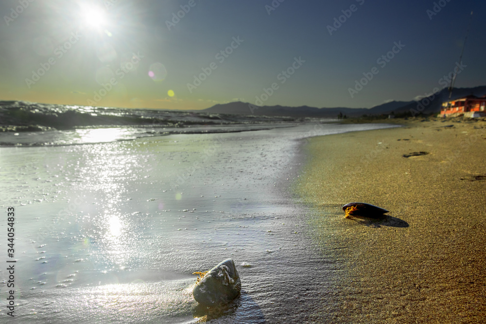 Costa del Sol