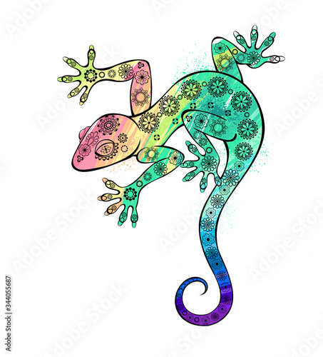 Rainbow gecko photo