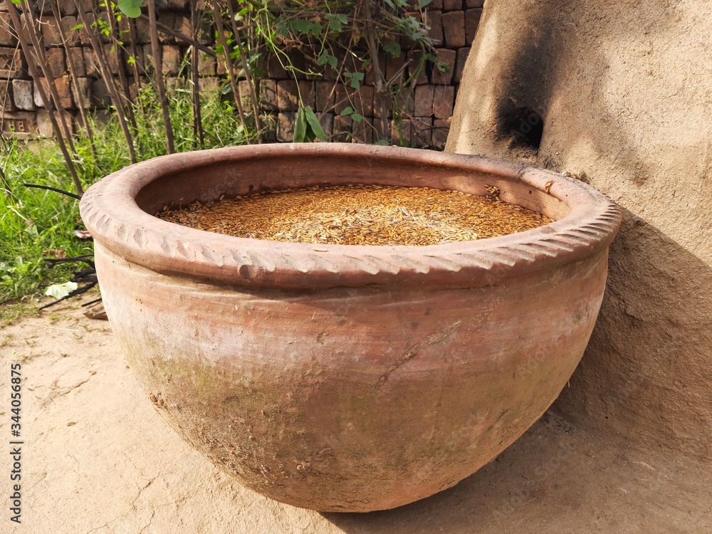 Paddy is soaked in water in an earthen pot.
Paddy is boiled in the morning after soaking overnight. This paddy is then dried and made into rice. This is the Indian method of making rice. Paddy is soaked in water in an earthen pot.
Paddy is boiled in the morning after soaking overnight. This paddy is then dried and made into rice. This is the Indian method of making rice.