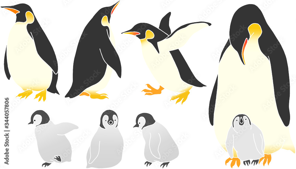 set of vector illustration of penguins set of vector illustration of penguins