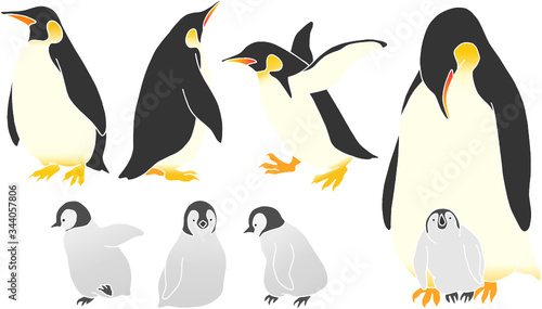 set of vector illustration of penguins