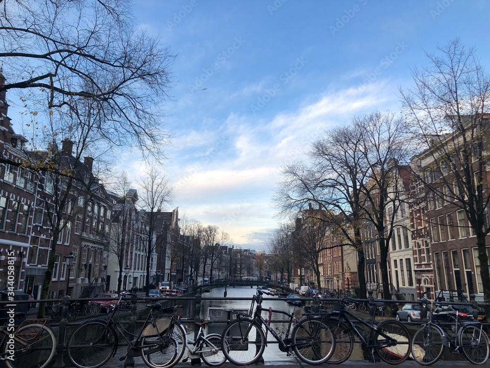 Naklejka premium bikes in amsterdam