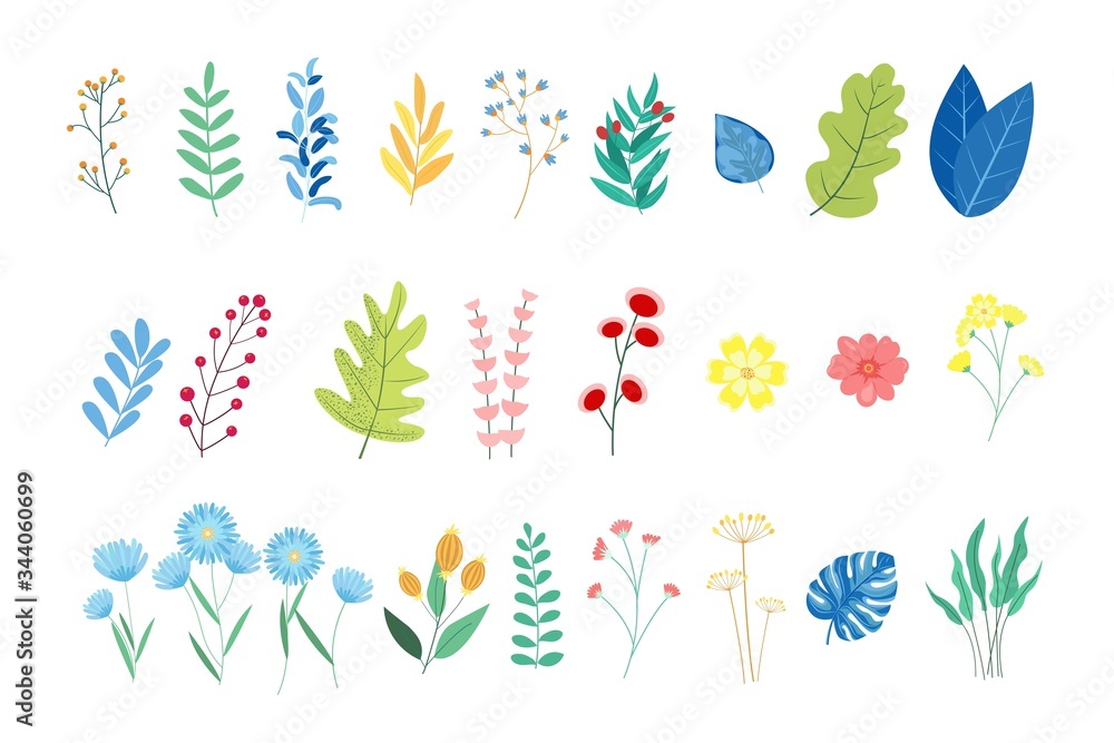 Vector design elements flowers and leaves, Design Invitation cards, Greeting Card, Poster, wedding card.