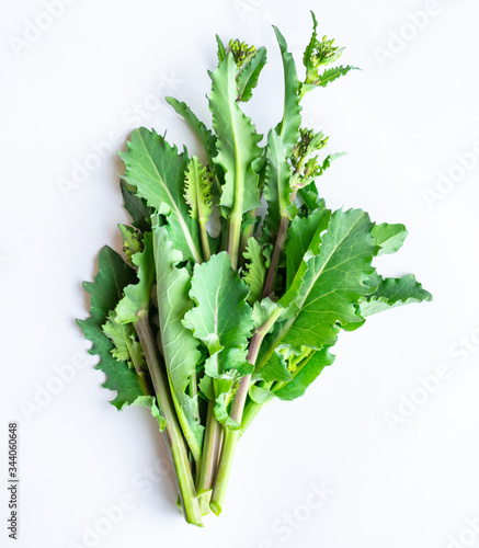 野菜 折り菜 背景白 140 1 Stock Photo Adobe Stock 野菜 折り菜 背景白 140 1 Stock Photo Adobe Stock