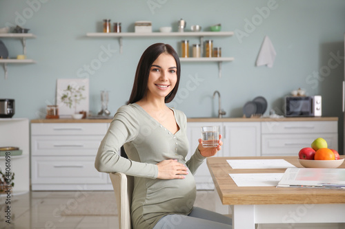 Beautiful pregnant woman dr...