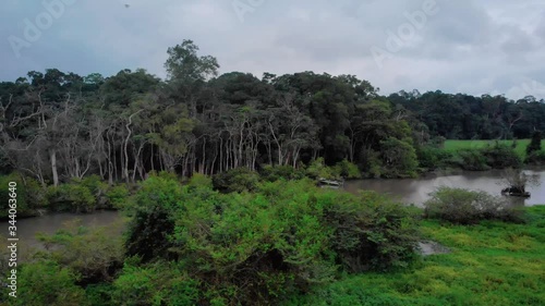 Deep in the jungles of Gabon, drone shot of a dark forest by the river in Loango National Park photo