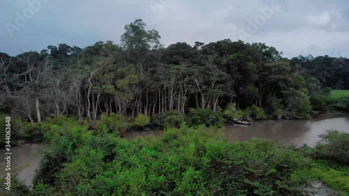 Mysterious dark jungle in Loango National Park, drone shot in Gabon photo