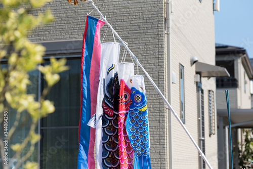 Banner of koinobori or carp are displayed outside a house in Japan to celebrate Children's Day or Kodomo No Hi - an official holiday in Japan.  photo