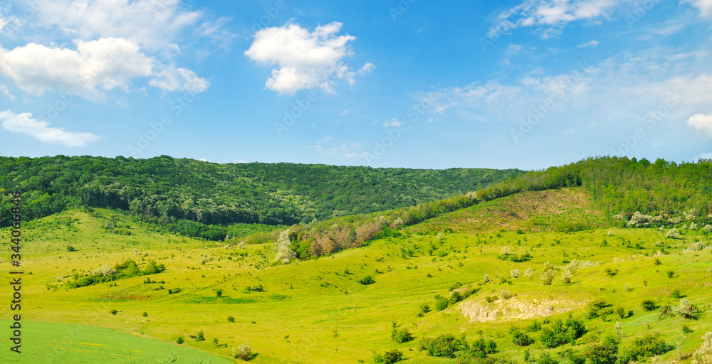 Hilly green fields with trees and shrubs. Wide photo .