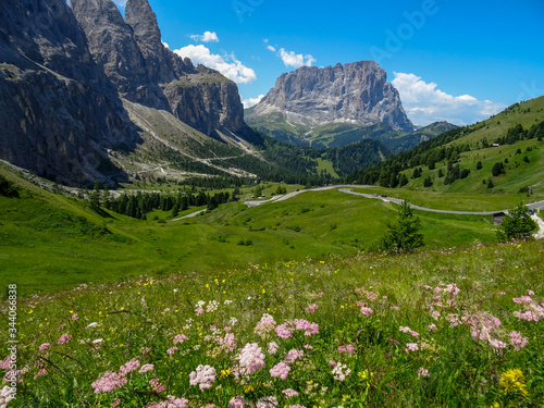 Small alpine flowers bloom in the valley of Passo Gardena toward Selva Wolfenstein, Dolomites, South Tyrol, Italy, Europe © jmh-photography