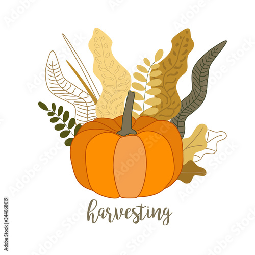 Harvest fest of autumn and fall thanksgiving, pumpkin with leaves wreath, branches cartoon isolated on white vector illustration.