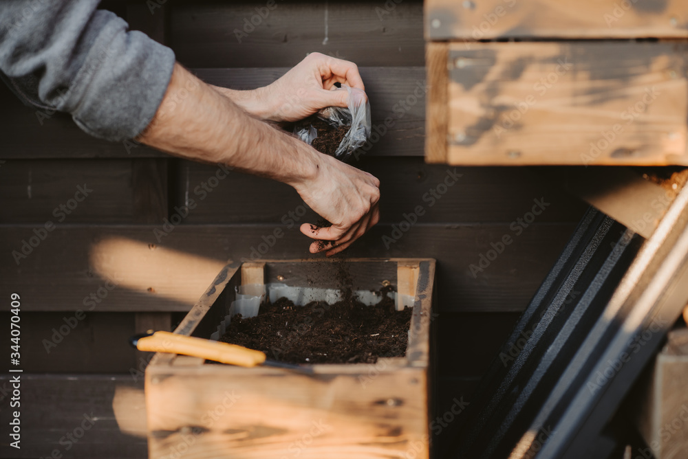 Quarantine man planting seeds in the ground, close-up of gardener's hands planting seedlings and seeds in the soil Quarantine man planting seeds in the ground, close-up of gardener's hands planting seedlings and seeds in the soil