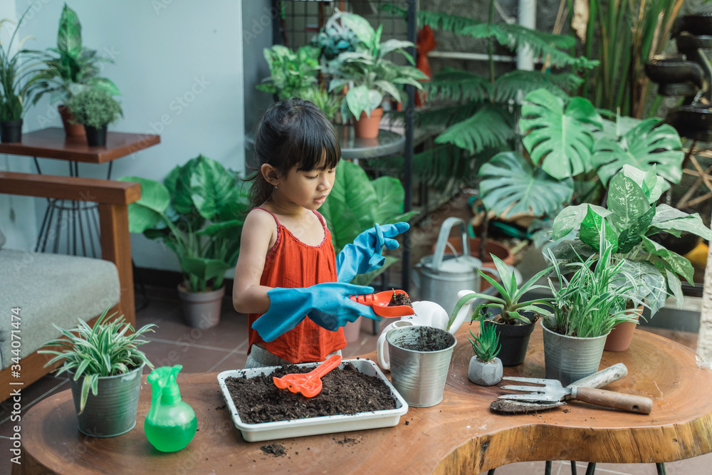 happy asian kid planting and gardening activity at home by herself happy asian kid planting and gardening activity at home by herself