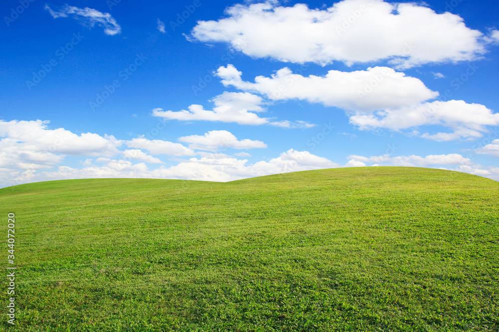 Green grass field and blue sky with clouds