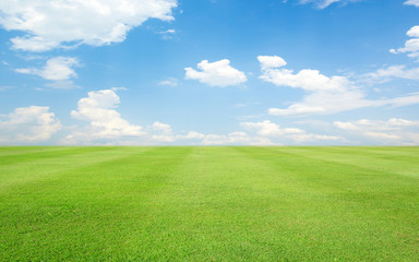 Green grass field and blue sky with clouds