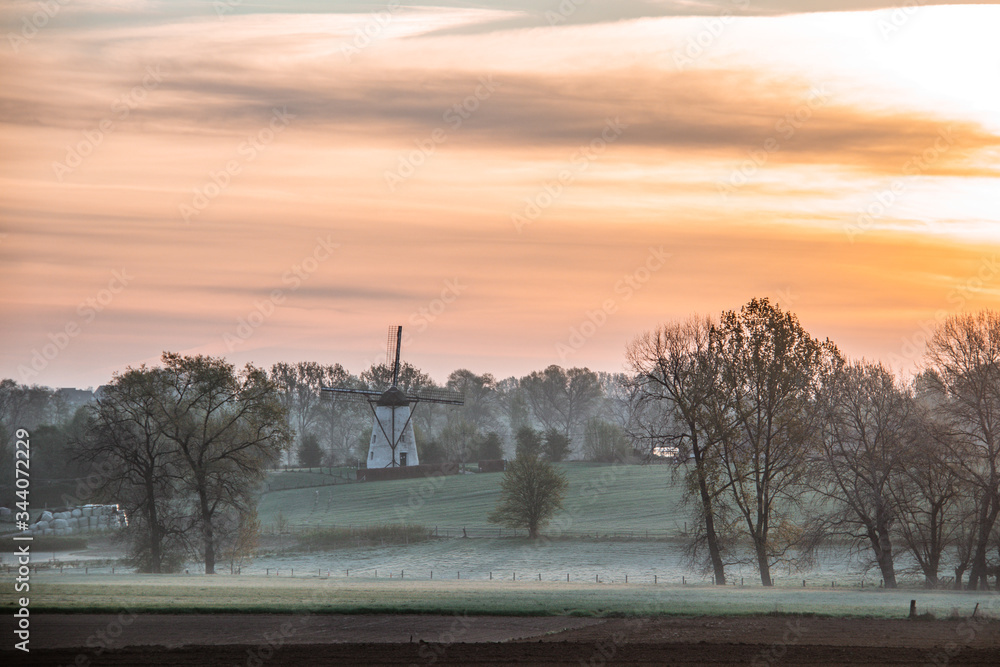 Fototapeta premium sunset in the winter