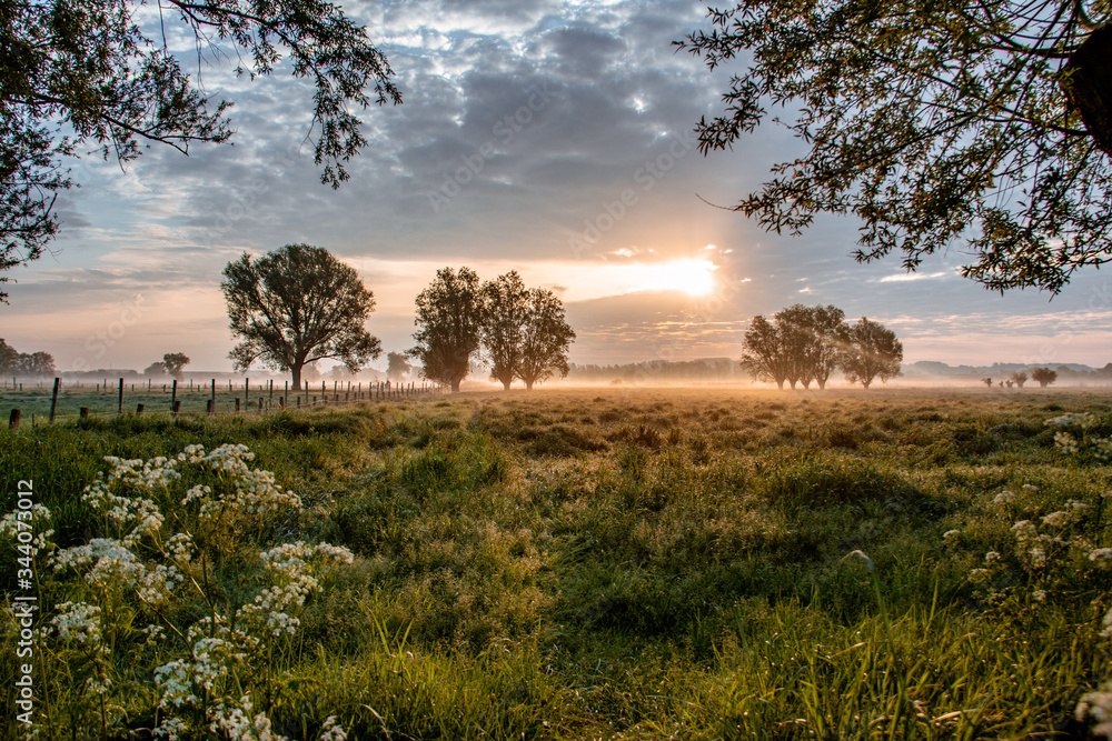 Fototapeta premium sunset in the field
