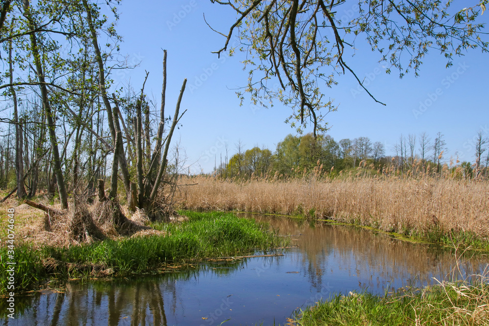 Nature reserve Nature reserve