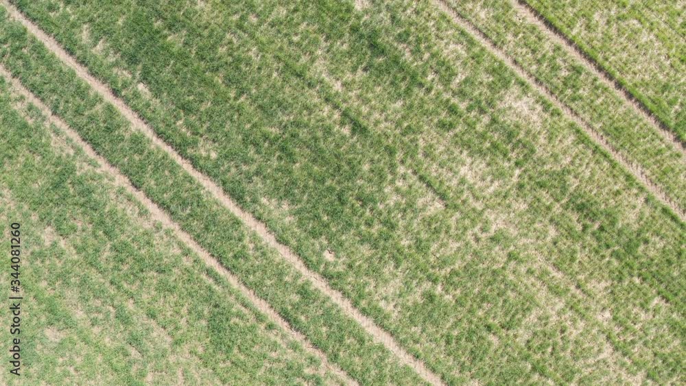 Aerial top shot of a agricultural field on a sunny spring day. Drone flies over a field in southern Germany near Ulm. Aerial top shot of a agricultural field on a sunny spring day. Drone flies over a field in southern Germany near Ulm.