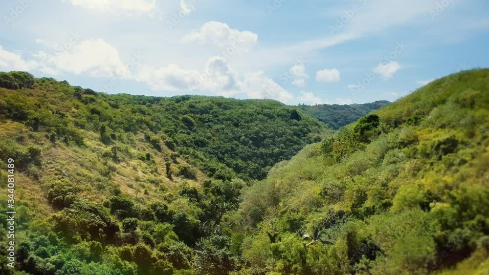 Drone Shot through a nice, green, tropical, untouched and overgrown litte valley in Bali. Drone Shot through a nice, green, tropical, untouched and overgrown litte valley in Bali.