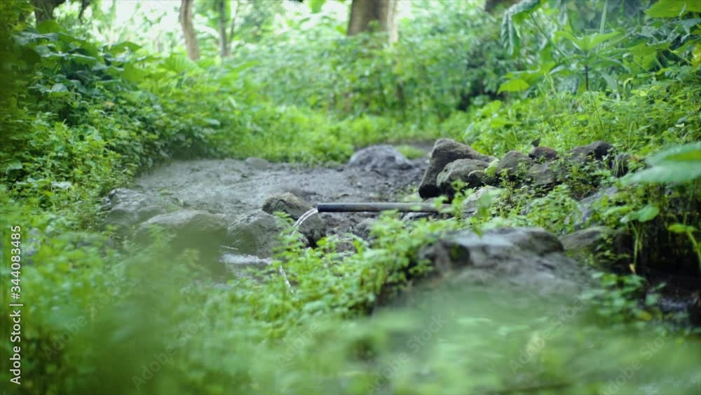 streaming spring water Local village nature streaming spring water Local village nature