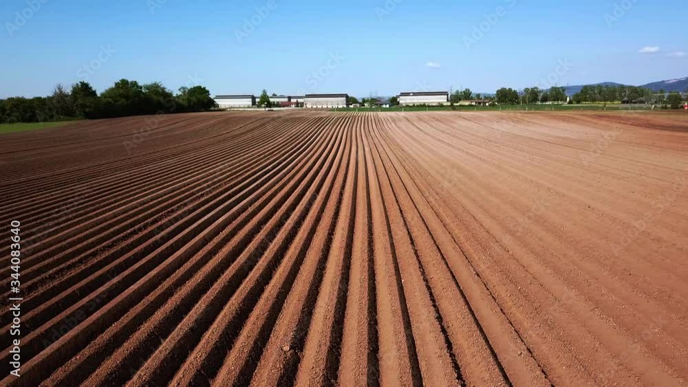 Flying sideways over agricultural rows on spring day with clear blue sky. Flying sideways over agricultural rows on spring day with clear blue sky.