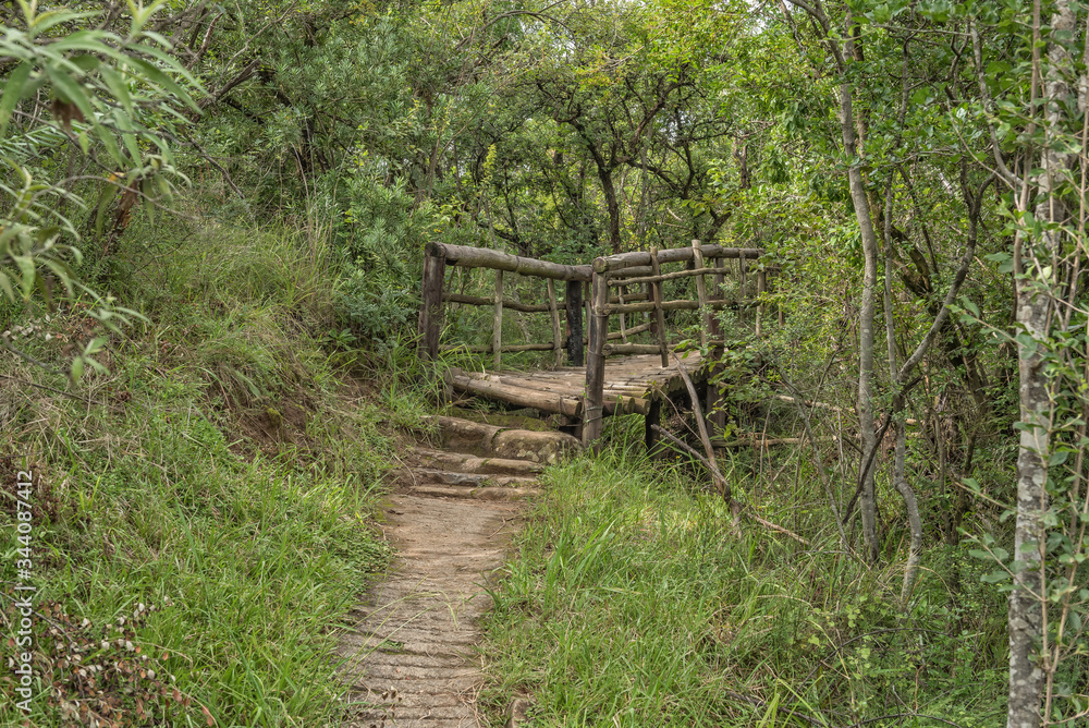 Wooden pedestrian bridge on a hiking trail near Mahai
