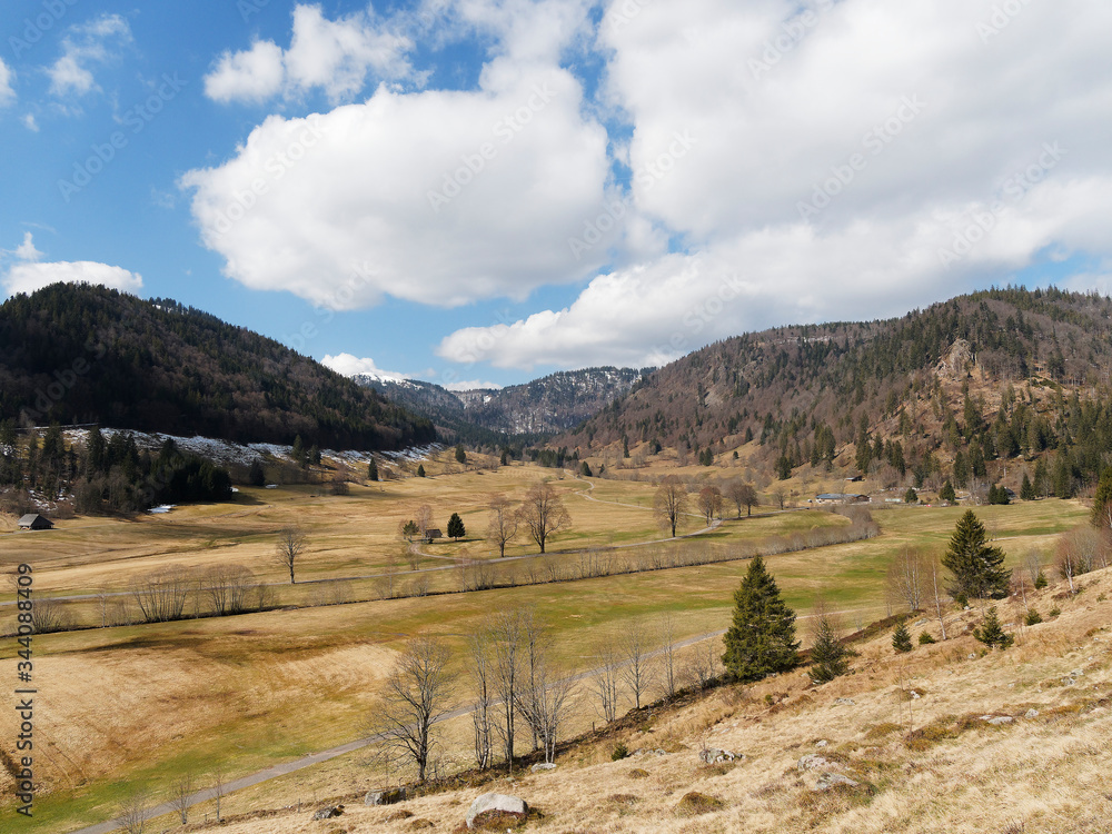 Paysage de Forêt-Noire autour du hameau de Menzenschwand, vallon boisé de Herzogenhorn dans le Baden-Wurtemberg en Allemagne du sud Paysage de Forêt-Noire autour du hameau de Menzenschwand, vallon boisé de Herzogenhorn dans le Baden-Wurtemberg en Allemagne du sud